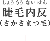 睫毛内反 / しょうもうないはん(さかさまつ毛)